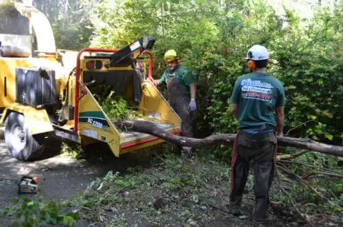 tree services Congerville